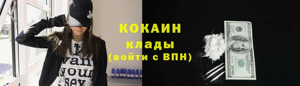 apvp Алексин