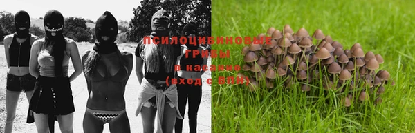 прущая мука Абдулино